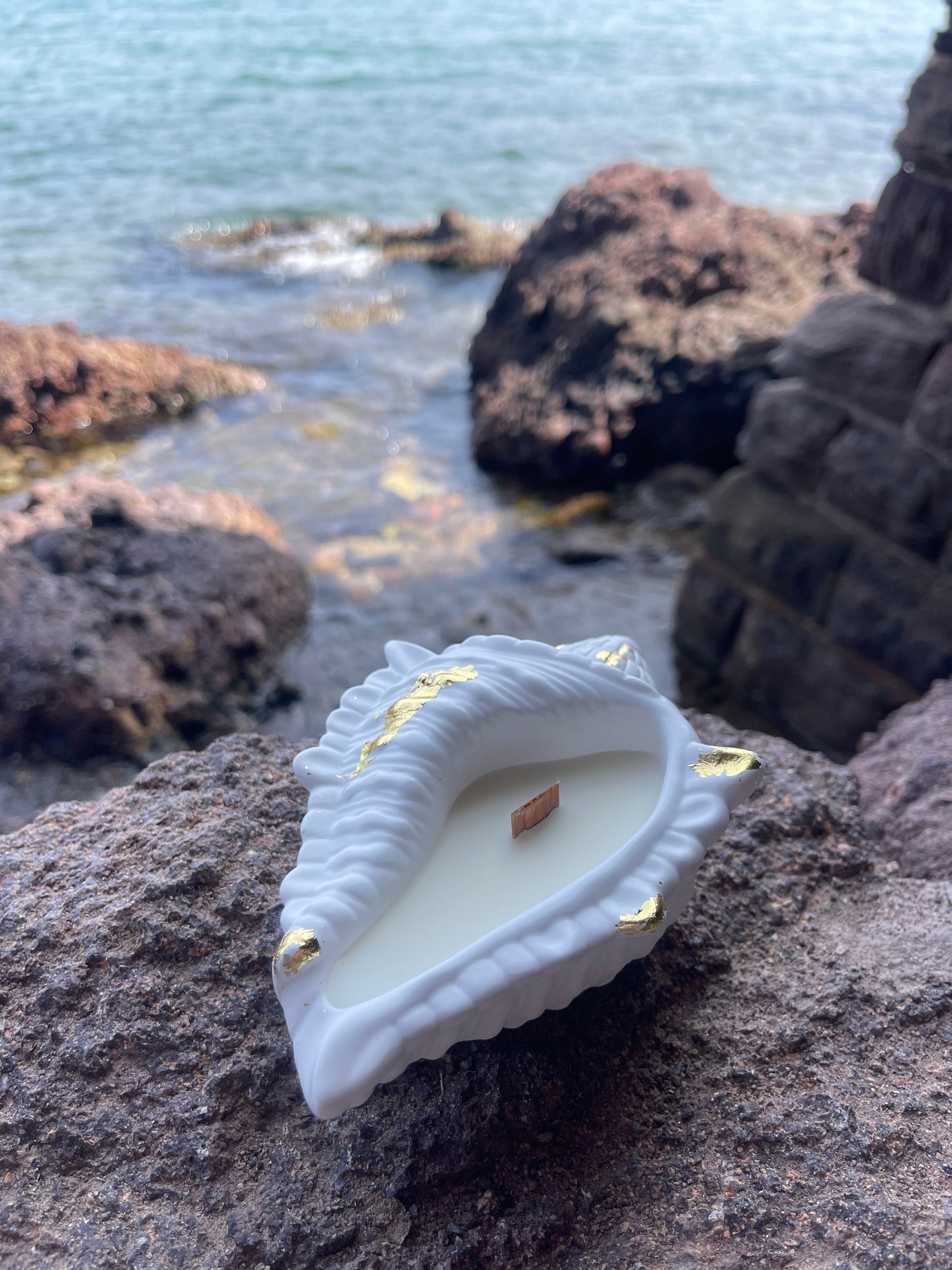 Bougie VENUS bougie artisanale et végétale bougie coquillage les Trésors de la Riviera