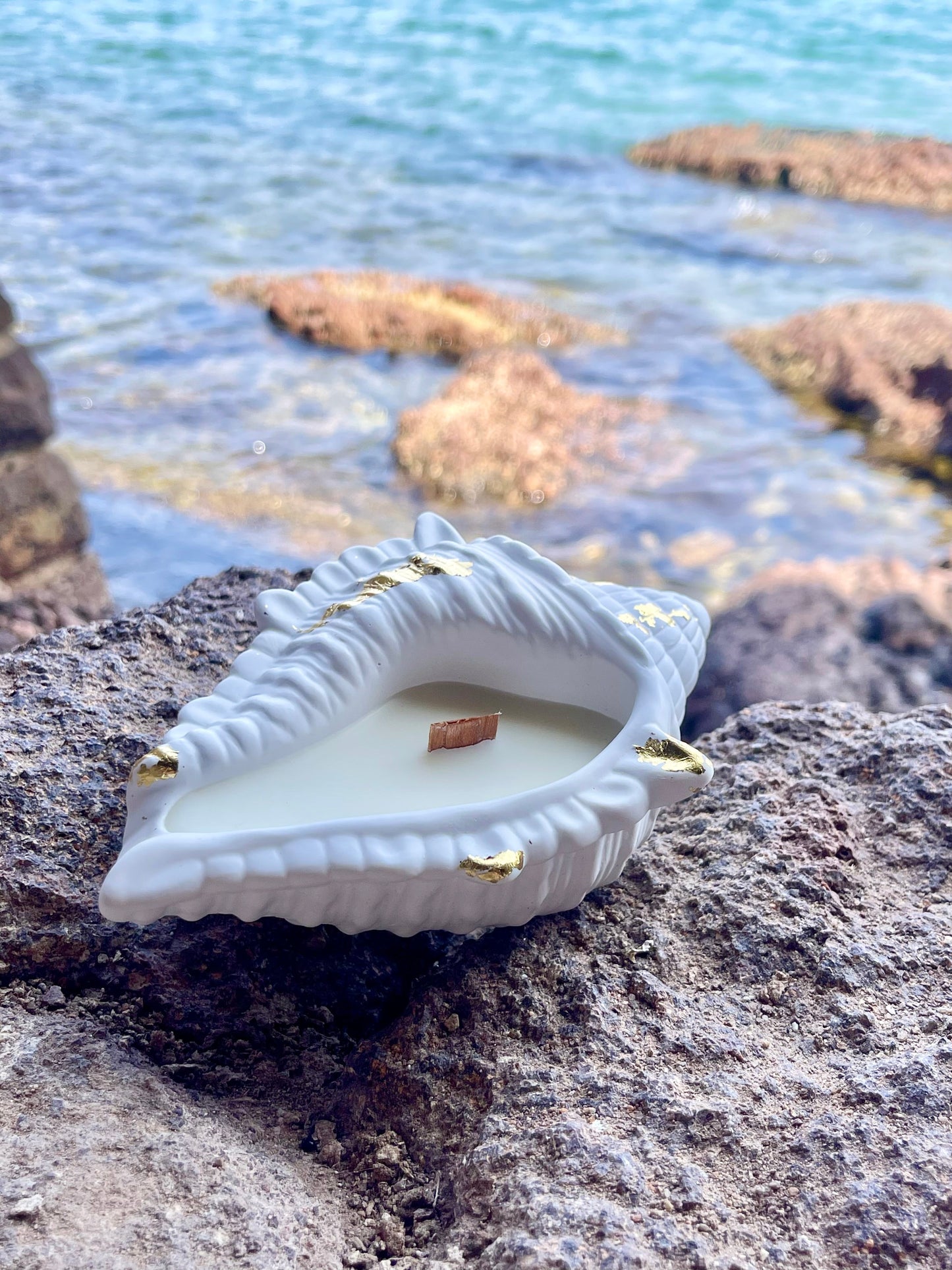 Bougie VENUS bougie artisanale et végétale bougie coquillage les Trésors de la Riviera