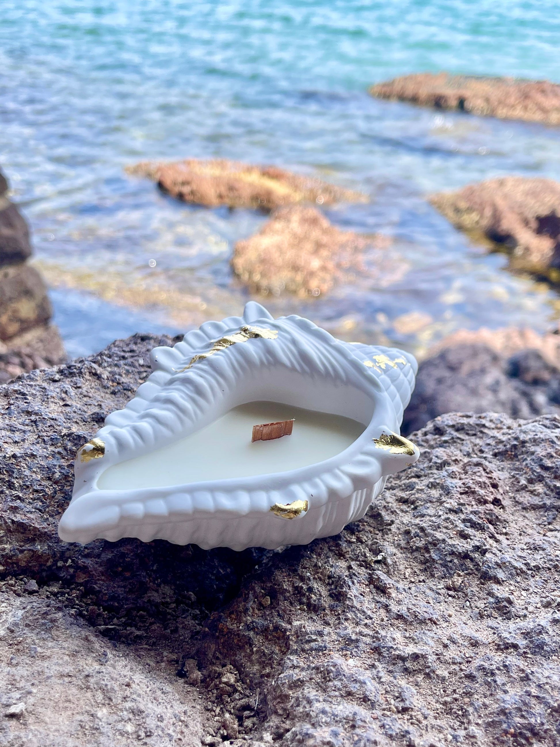 Bougie VENUS bougie artisanale et végétale bougie coquillage les Trésors de la Riviera 