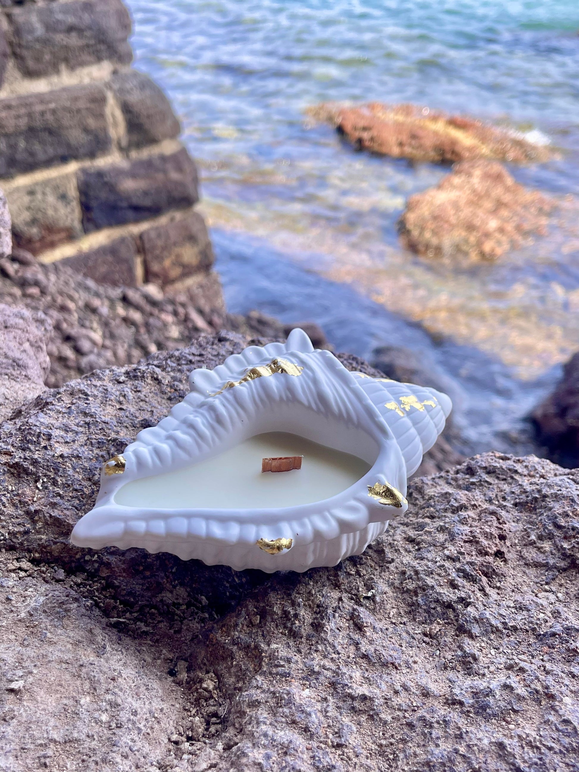 Bougie VENUS bougie artisanale et végétale bougie coquillage les Trésors de la Riviera 